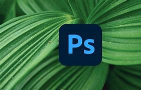 Image result for Adobe Photoshop Regenerative Fill