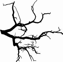 Image result for Halloween Tree Branch