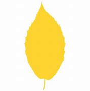 Image result for Birch Leaf Silhouette