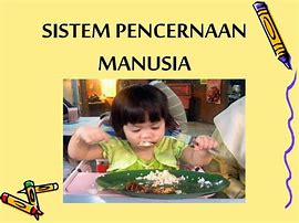 Image result for Icon Manusia Untuk PPT