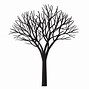 Image result for Trees without Leaf Silhouette