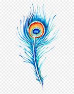 Image result for Peacock Feather Vector