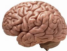 Image result for Ns5 Robot Brain