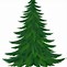 Image result for Pine Tree Graphic