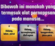 Image result for PPT Alat Pernapasan Manusia