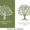 Image result for Oilve Branch Clip Art