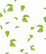 Image result for Tropical Leaves Animated Wallpaper 4K