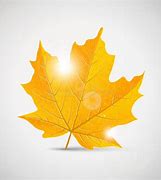 Image result for Maple Leaf Metal Art