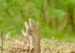 Image result for Hand in Quicksand