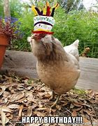 Image result for Happy Birthday Chicken Coloring Pages