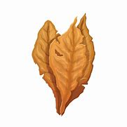 Image result for Tobacco Leaf Illustration