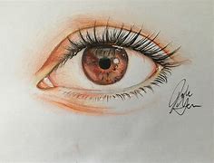 Image result for Human Eye Pencil Drawing