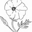 Image result for Poppies Coloring Pages