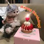 Image result for Happy Birthday Cat Images. Free