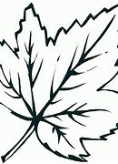 Image result for Maple Leaf Coloring Sheet