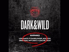 Image result for BTS Dark and Wild Album Cover