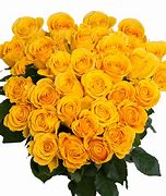 Image result for Bright Yellow Roses