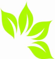 Image result for Leaves SVG Free