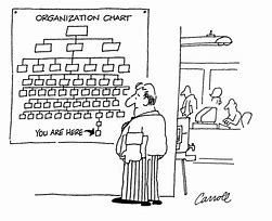 Image result for Org Chart Cartoon