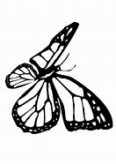 Image result for Small Butterfly Coloring