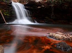 Image result for Autumn Page Background