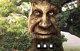 Image result for Wise Oak Tree