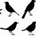 Image result for Bird Singing On Branch in Silhouette