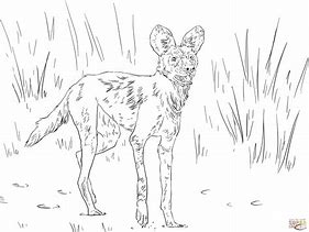 Image result for Wild Dog Coloring Pages