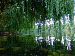 Image result for Willow Tree Figurines List