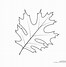 Image result for Printable Real Leaf