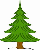 Image result for Evergreen Tree Clip Art