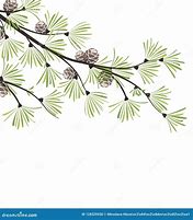 Image result for Branch Illustration