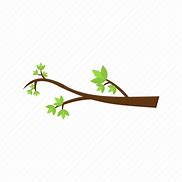 Image result for Tree Branch Icon