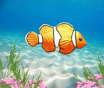 Image result for Clown Fish From Nemo