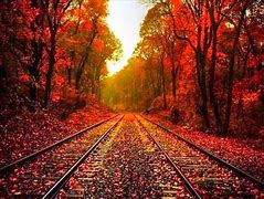 Image result for Large Fall Pictures