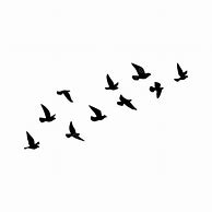 Image result for Birds On Branches That Are Verticle