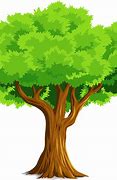 Image result for Animated Tree Clip Art