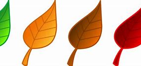 Image result for Autumn Leaf Clip Art Free