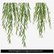 Image result for Willow Tree Branch Clip Art