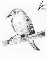 Image result for Bird On Branch Drawing