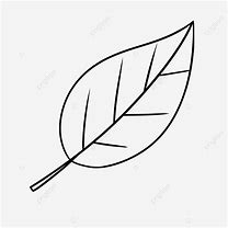 Image result for Black and White Clip Art Leaf Swag