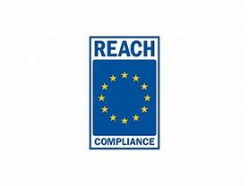 Image result for Reach to Rich Logo