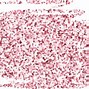 Image result for Light Pink Glitter Texture