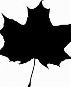 Image result for Maple Leaf Branch Silhouette