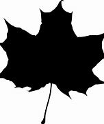 Image result for Maple Leaf Silhouette No Background