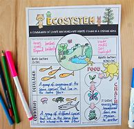 Image result for Ecosystem Worksheet