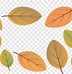 Image result for Fall Leaves Vector Free