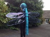 Image result for Dragonfly Costume