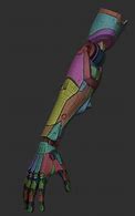 Image result for Female Robot Anatomy