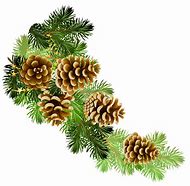 Image result for Free Clip Art Tree Branch Border